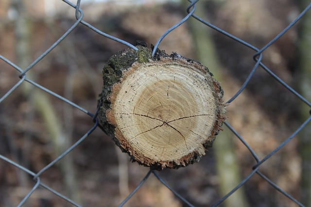 Houten schijven afbeelding