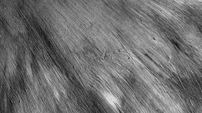 Grey wash steigerhout afbeelding